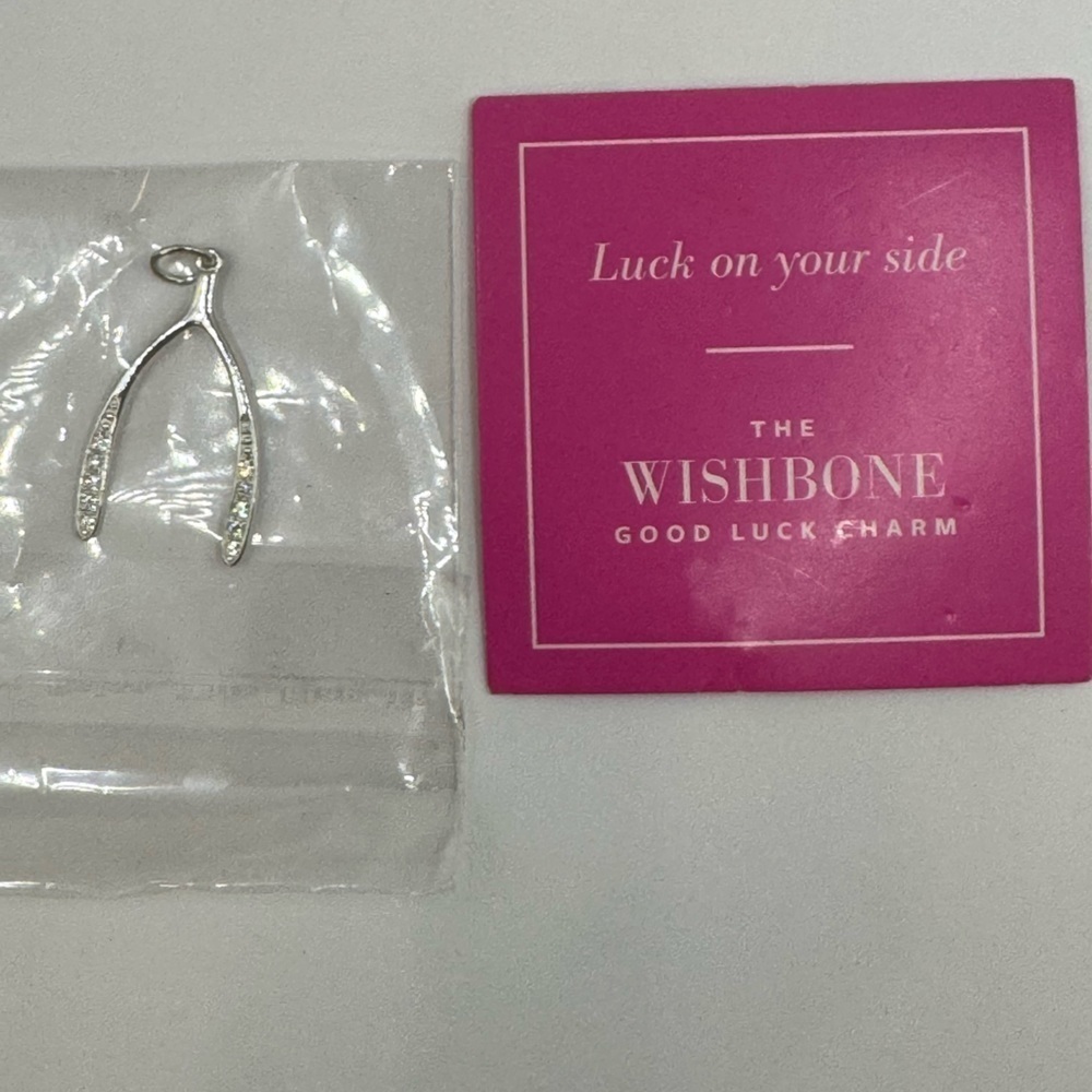 Stella and Dot sterling silver Wishbone good luck charm